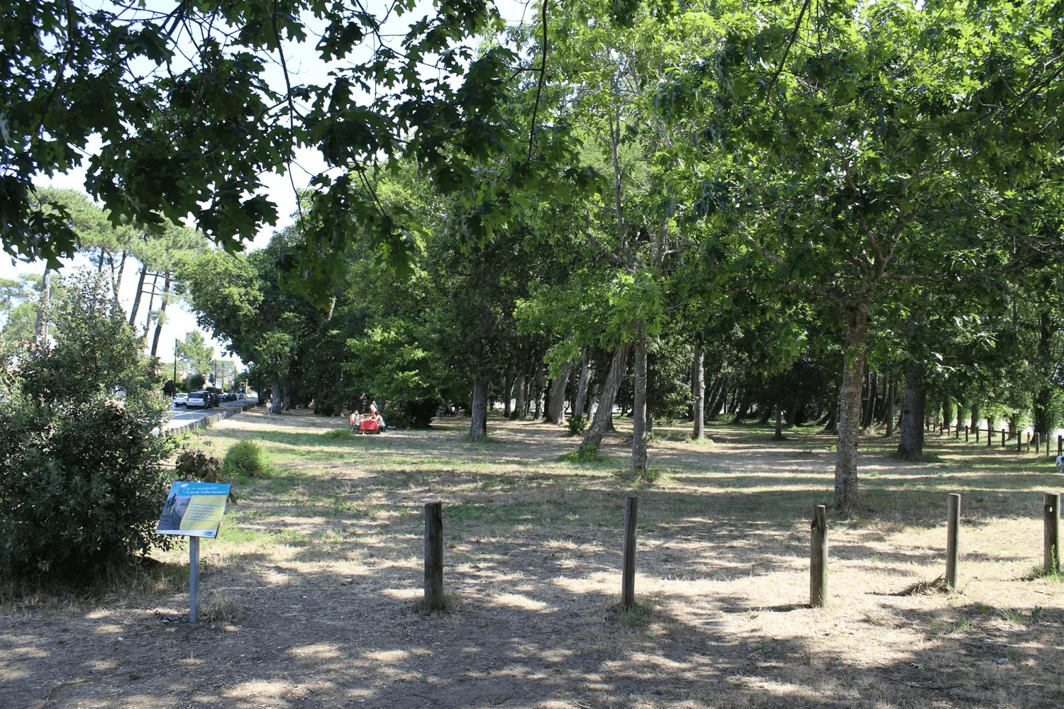 Picnic à Saint-Brevin-les-Pins
